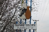 IMG_9350.JPG