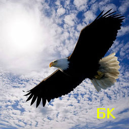 ������� ���� ����� ������� � �����!  12 �������