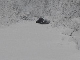 DSCN5486.JPG