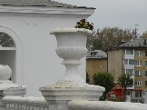 P1030141.JPG