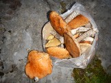 DSCN5085.JPG