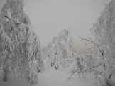 DSCN1599.JPG