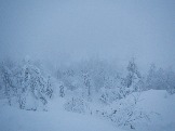 DSCN5490.JPG