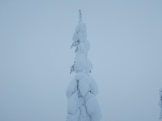 DSCN1602.JPG