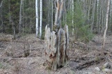 IMG_7689.JPG