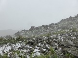 P1020613.JPG