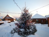 DSCN1510.JPG