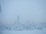 DSCN1597.JPG
