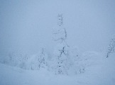 DSCN5489.JPG