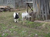 DSCN2182.JPG