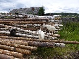 P1020680.JPG