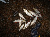 DSCN5270.JPG
