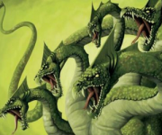 ������ ���� ����� ������� � �����!  6 �������