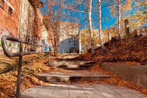 ������ �������, ������� ������������� � ������ � ���� ����