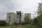 IMG_7771.JPG
