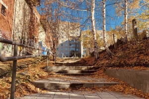 ������ �� ������� ������� � ������������� �����������