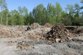 IMG_7889.JPG