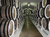 DSCN2463.JPG