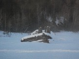 DSCN5579.JPG