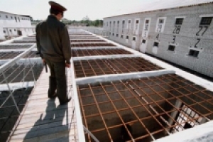 ��������������� ���������� ������ ��� ��������� ��������� � ���� 18 ��� ������� ������� �������, ����������� � �������� ����� ������ ���� � �������������