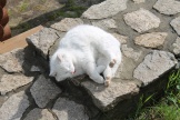 IMG_7782.JPG
