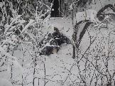 DSCN5488.JPG
